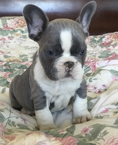 Esther